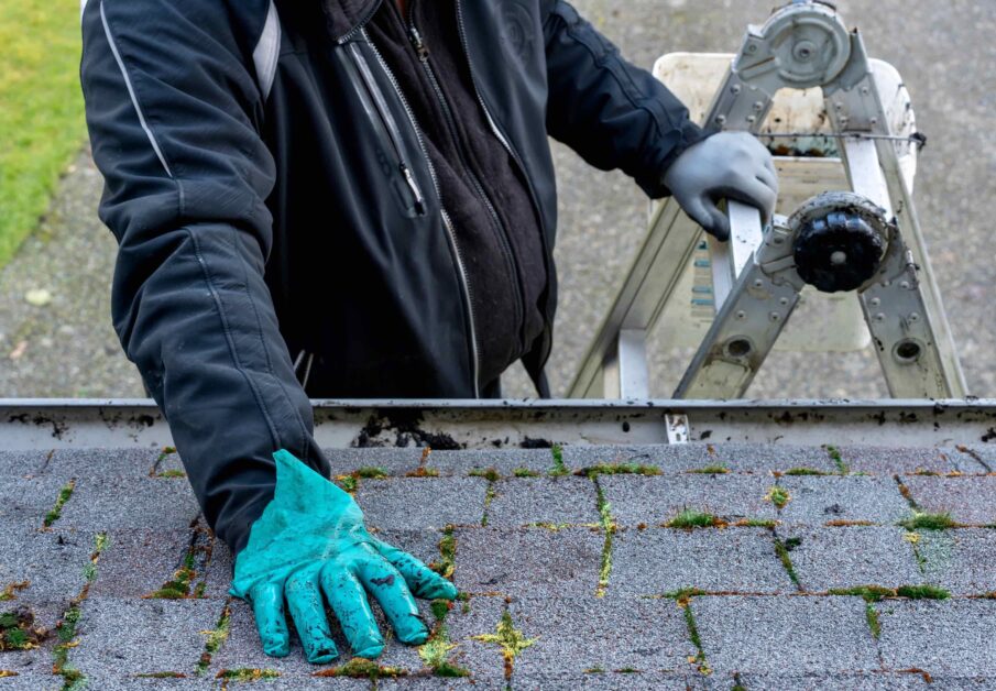 Roofing insurance filling: man inspects roof with moss